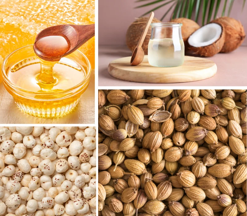 Bharti Global Export